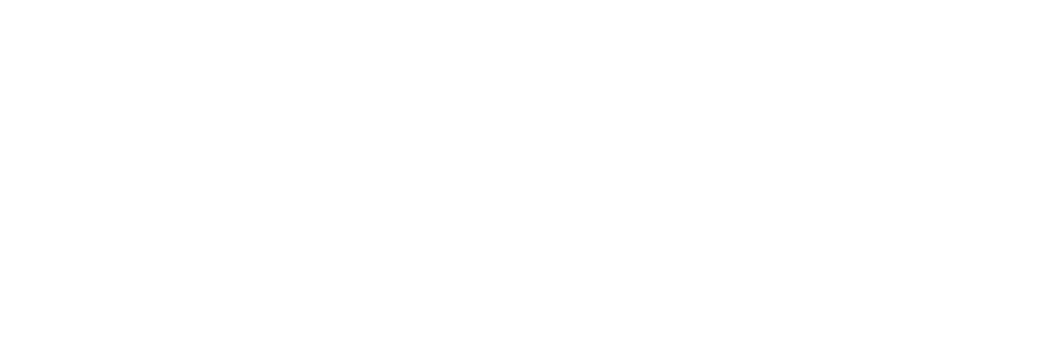 Bwin — logótipo